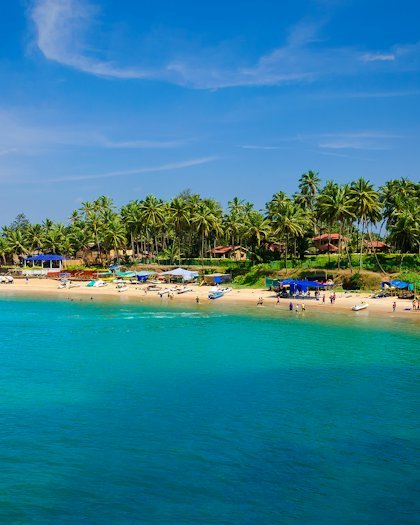 Palm trees along a calm turquoise bay
