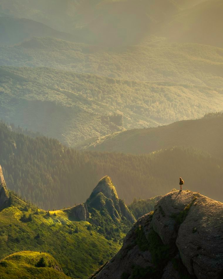 Rolling green hills under drifting cloud in the Nilgiris